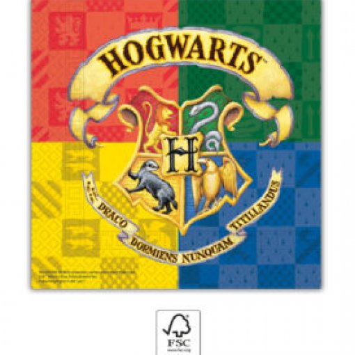 20 Guardanapos 33cm Harry Potter