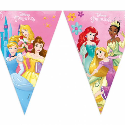 9 Bandeiras Triângulo Princesas Disney